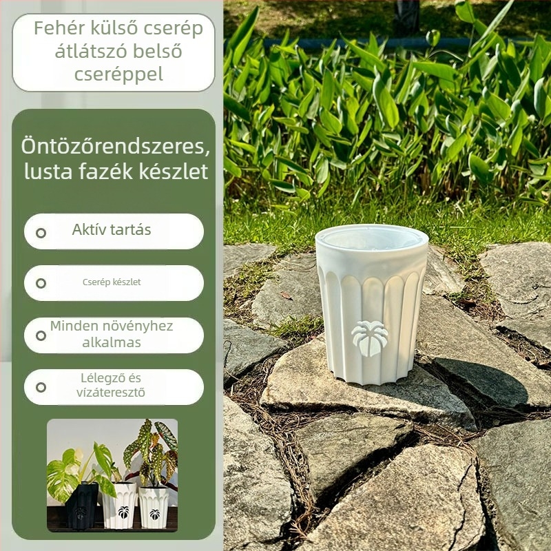 Fejlesztett megvastított levegőoszlopos orchidea cserép gyökérszabályozó készlettel, légáteresztő és vízáteresztő, Phalaenopsis számára