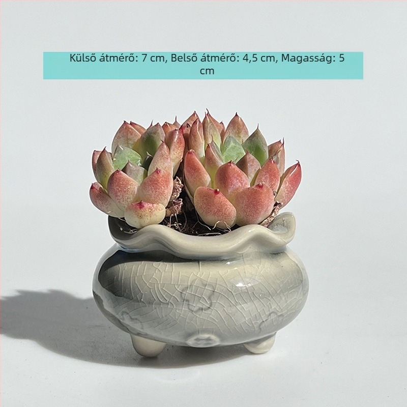 Új kerámia virágtartó mázas gradiens színátmenettel és repedezett felülettel, szukkulensekhez