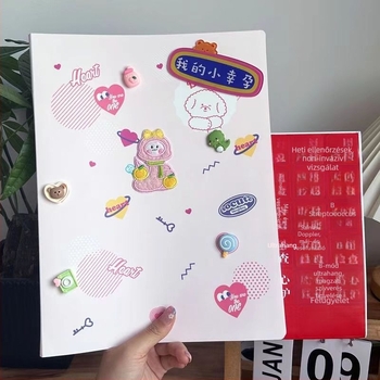 DIY Longbao Terhességi vizsgálati jelentések tárolófüzet – Matt cipzáras dokumentum szervező várandós anyáknak