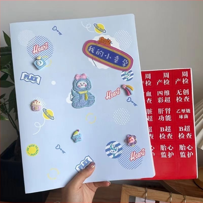 DIY Longbao Terhességi vizsgálati jelentések tárolófüzet – Matt cipzáras dokumentum szervező várandós anyáknak