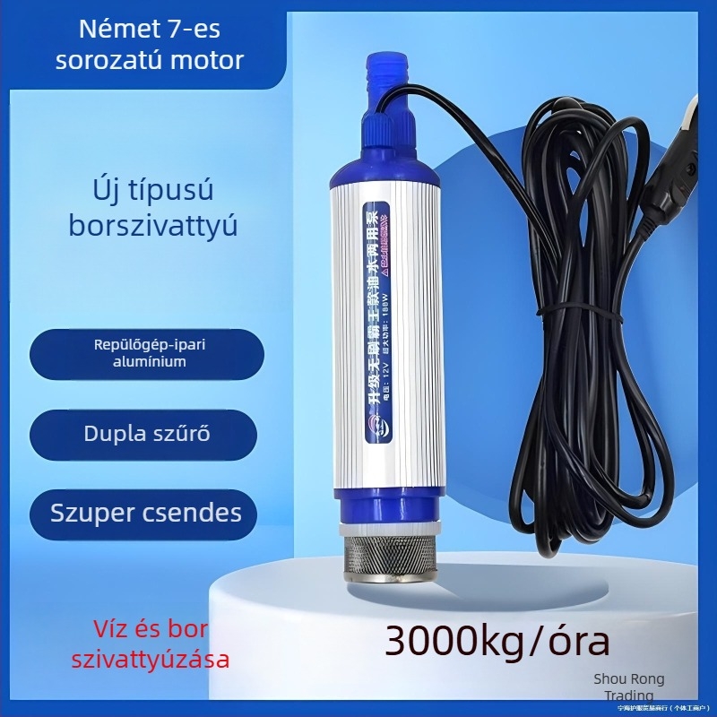 Otthoni használatra szánt elektromos borpumpa, 12V, rozsdamentes acélból, teljesen automata
