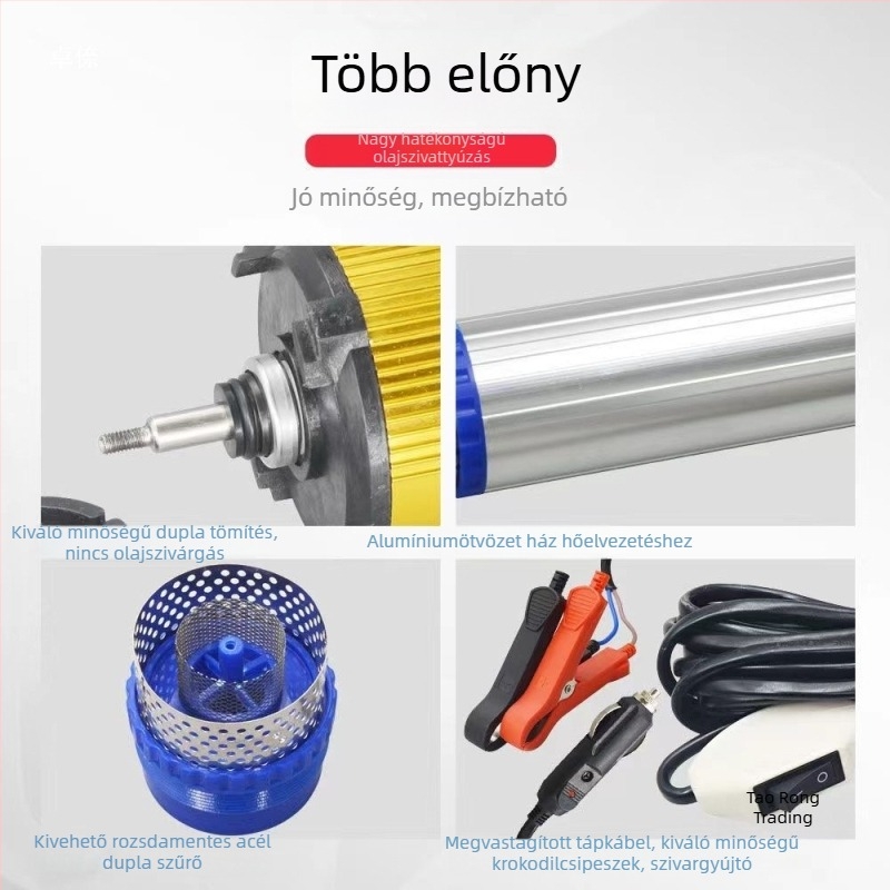 Otthoni használatra szánt elektromos borpumpa, 12V, rozsdamentes acélból, teljesen automata