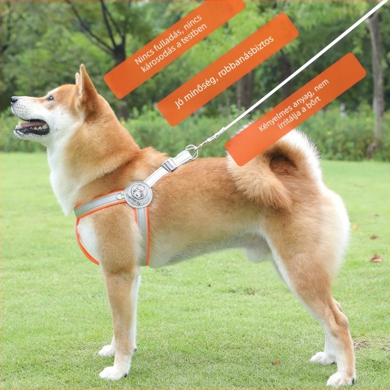 Visszaverő mellkas-hám közepes és nagy testű kutyáknak, mellény-stílusú hám Golden Retrieverhez