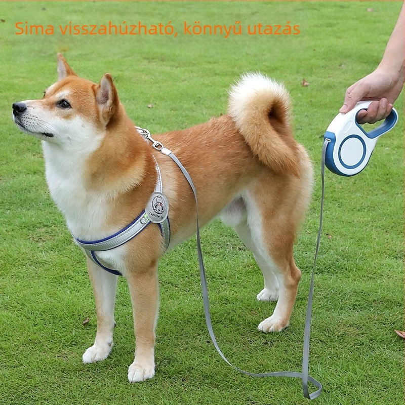 Visszaverő mellkas-hám közepes és nagy testű kutyáknak, mellény-stílusú hám Golden Retrieverhez