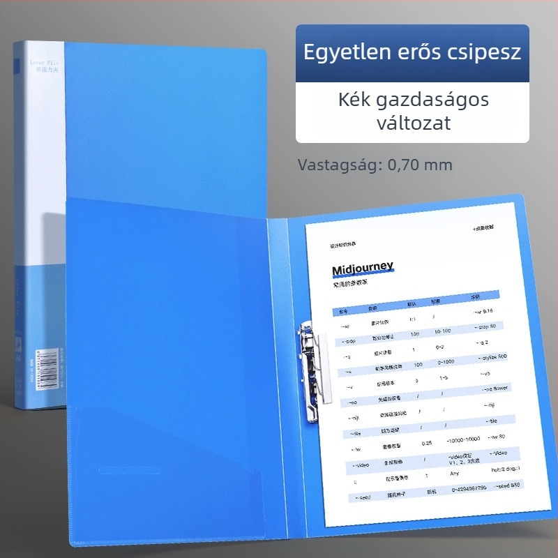 A4-es méretű fájlmappa dupla erős csattal
