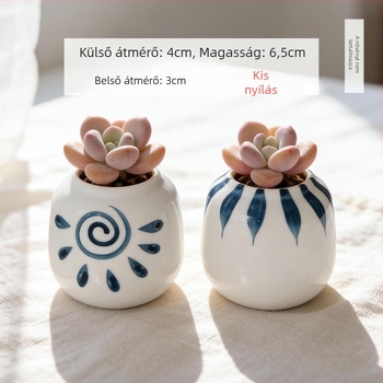 Kerámiából készült szukkulens kaspó, kör alakú, kézzel festett, asztali dekorációhoz, öreg törzsű bonsai