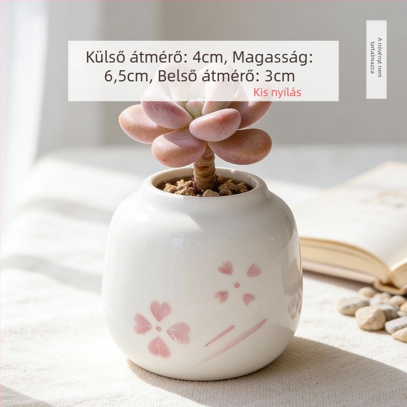 Kerámiából készült szukkulens kaspó, kör alakú, kézzel festett, asztali dekorációhoz, öreg törzsű bonsai