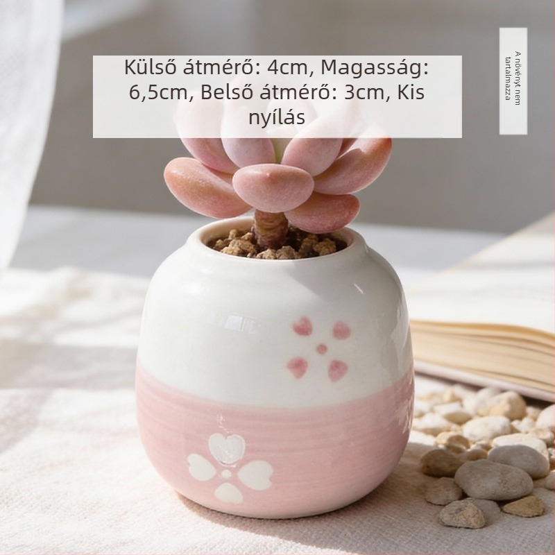 Kerámiából készült szukkulens kaspó, kör alakú, kézzel festett, asztali dekorációhoz, öreg törzsű bonsai