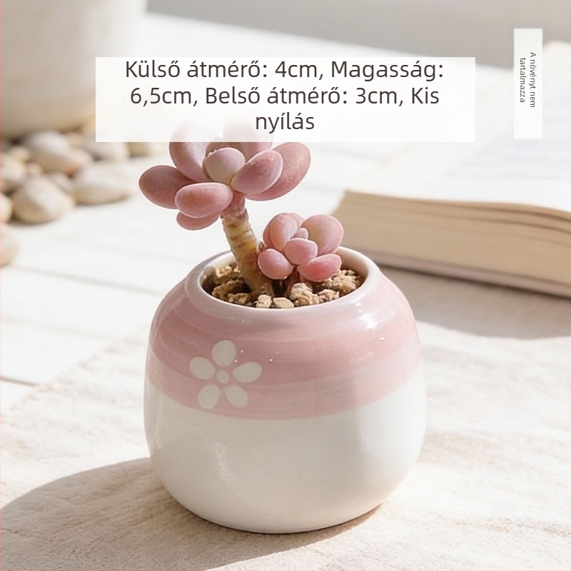 Kerámiából készült szukkulens kaspó, kör alakú, kézzel festett, asztali dekorációhoz, öreg törzsű bonsai