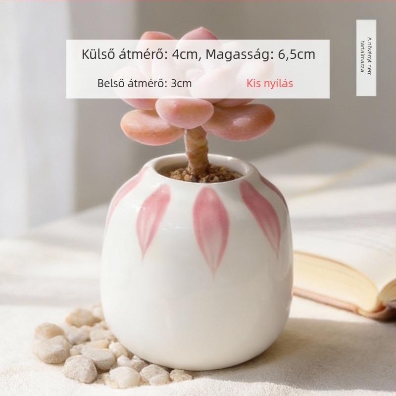 Kerámiából készült szukkulens kaspó, kör alakú, kézzel festett, asztali dekorációhoz, öreg törzsű bonsai