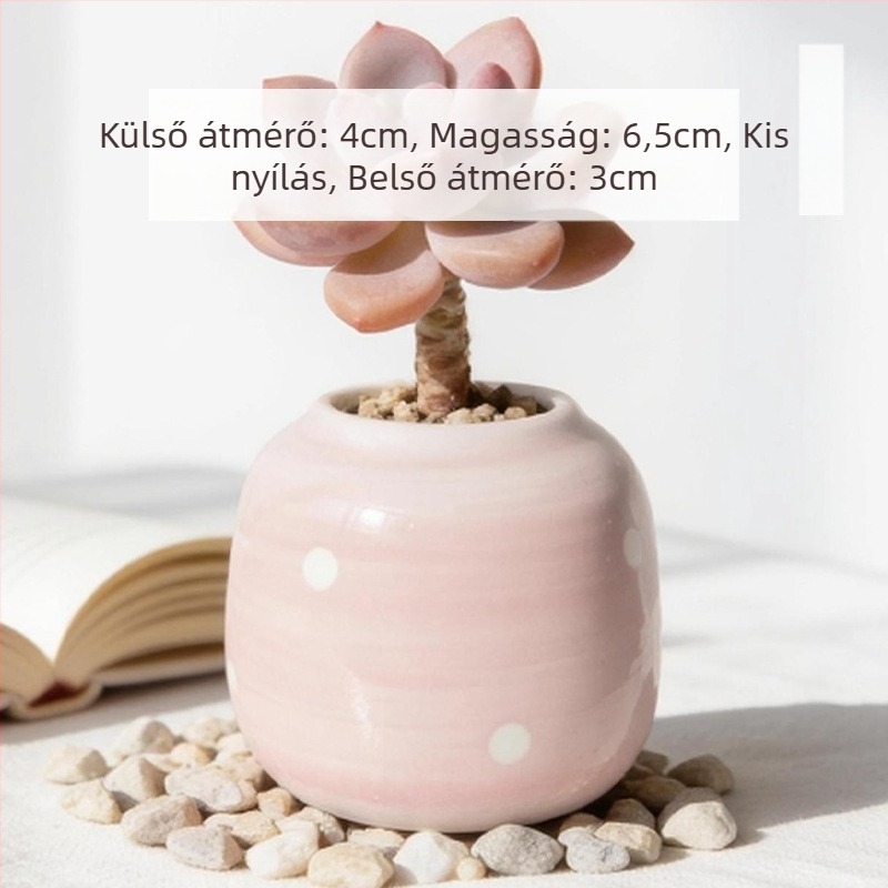 Kerámiából készült szukkulens kaspó, kör alakú, kézzel festett, asztali dekorációhoz, öreg törzsű bonsai