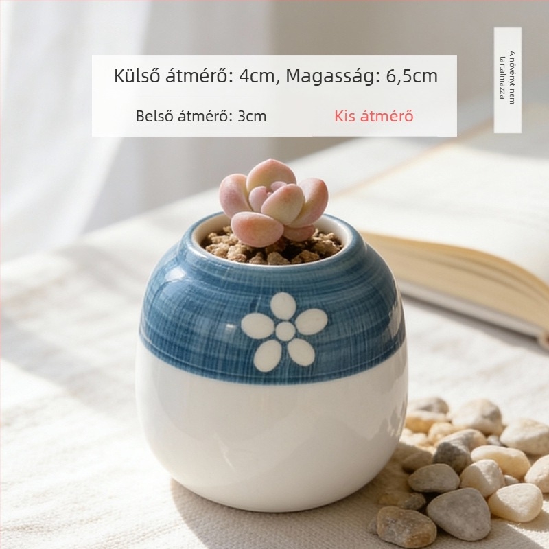 Kerámiából készült szukkulens kaspó, kör alakú, kézzel festett, asztali dekorációhoz, öreg törzsű bonsai