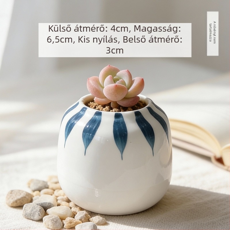 Kerámiából készült szukkulens kaspó, kör alakú, kézzel festett, asztali dekorációhoz, öreg törzsű bonsai