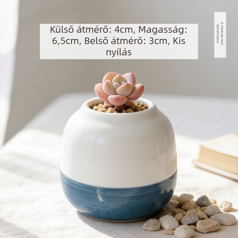 Kerámiából készült szukkulens kaspó, kör alakú, kézzel festett, asztali dekorációhoz, öreg törzsű bonsai