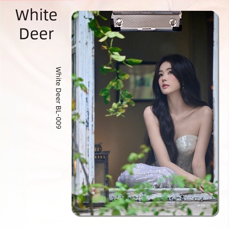 A4-es PP csipeszes irattartó dokumentumokhoz és diák dolgozatokhoz – White Deer Star Anime