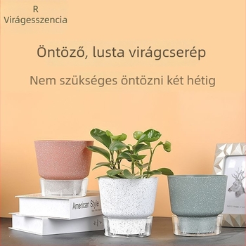 Önöntöző műanyag virágtartó, tartós pothos és rózsák számára