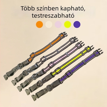Nylon kutya póráz és nyakörv - tartós és biztonságos