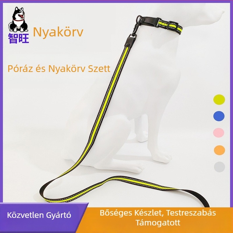 Nylon kutya póráz és nyakörv - tartós és biztonságos