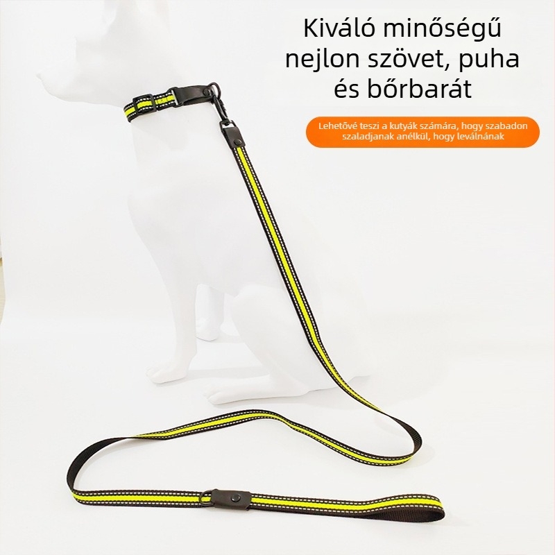 Nylon kutya póráz és nyakörv - tartós és biztonságos