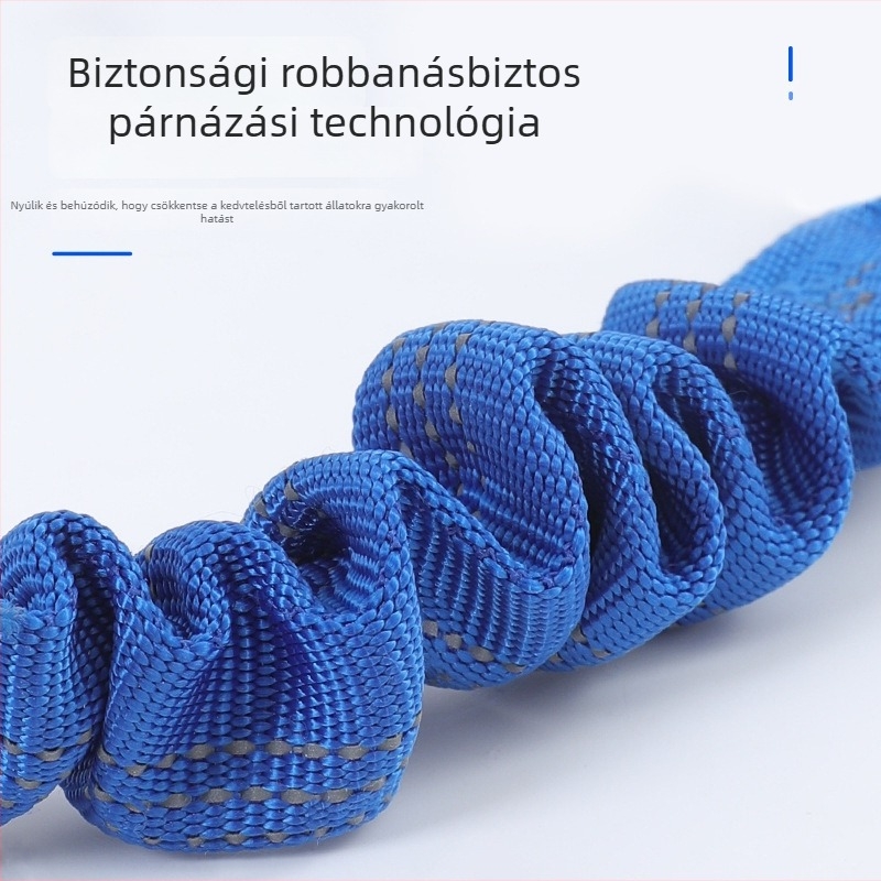 Kutyák számára autóba szerelhető biztonsági öv körgyűrűvel és biztonsági kötéllel – hátsó üléshez