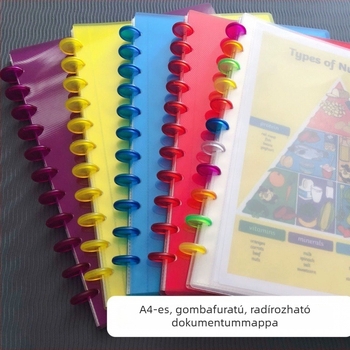 Átlátszó A4-es méretű 11 lyukas iratrendező, certifikátok és dokumentumok számára, leválasztható gyűjtemény, gomba ihletésű dizájn
