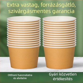 Egyszer használatos papírtálak és ebédtál készlet otthoni és piknik használatra – tészta tál és evőeszközök