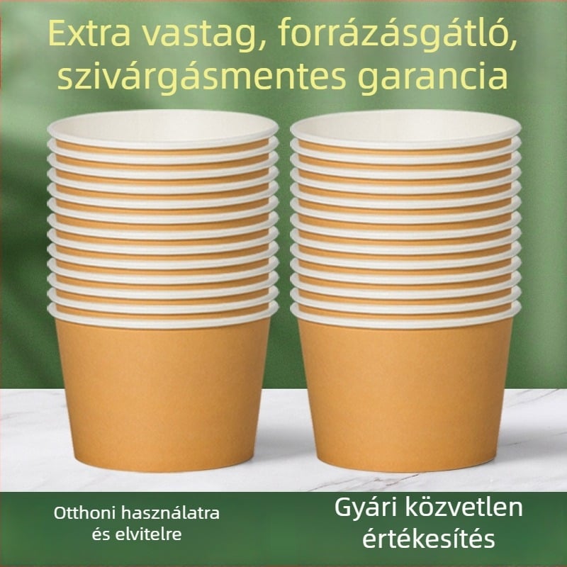 Egyszer használatos papírtálak és ebédtál készlet otthoni és piknik használatra – tészta tál és evőeszközök