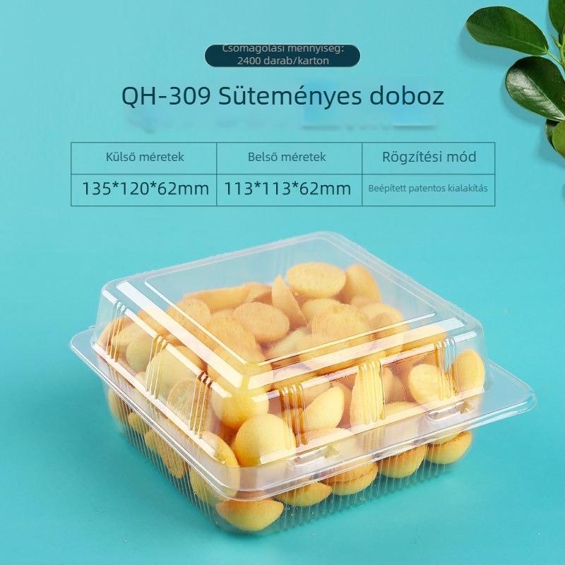 Áttetsző bliszteres műanyag torta csomagoló doboz, lezárás a frissesség megőrzéséhez — ajándékdoboz