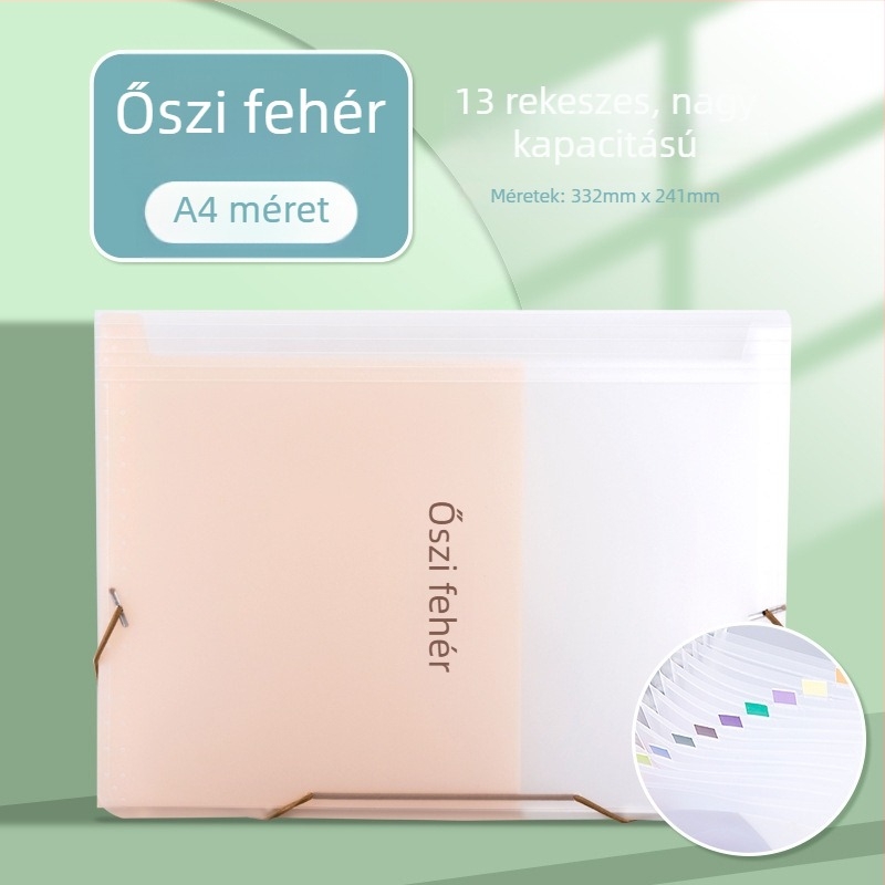Akkordeon típusú irattartó számlák, ÁFA-számlák, bizonylatok, készpénz és csekkek számára