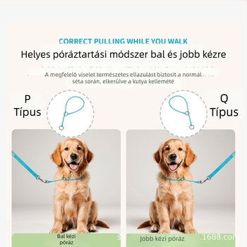 Barkbay P-Chain és P-Rope kutyanyakörv közepes és nagytestű kutyáknak – edző nyakörv