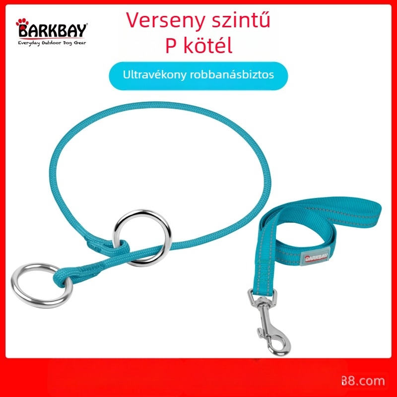 Barkbay P-Chain és P-Rope kutyanyakörv közepes és nagytestű kutyáknak – edző nyakörv