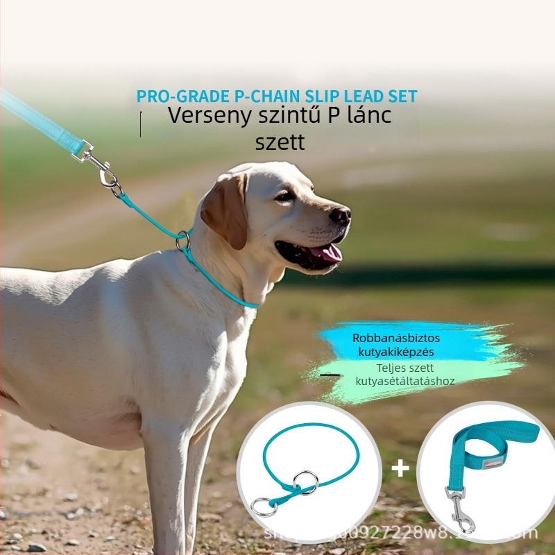 Barkbay P-Chain és P-Rope kutyanyakörv közepes és nagytestű kutyáknak – edző nyakörv