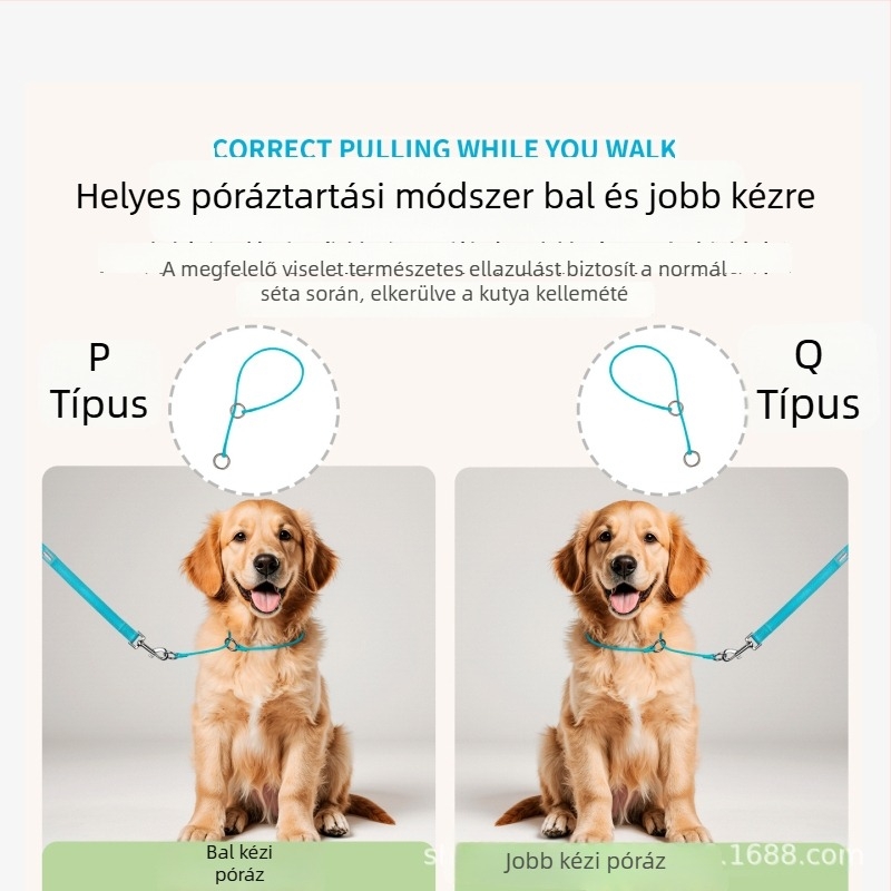 Barkbay P-Chain és P-Rope kutyanyakörv közepes és nagytestű kutyáknak – edző nyakörv
