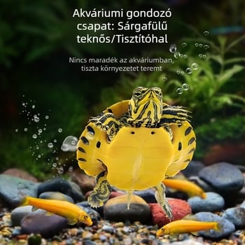 Sárga fülű teknős akváriumi tisztító, algamentesítés és hulladék-evés, hideg vízhez, élő teknős