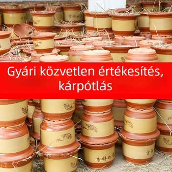 Extra nagy kerámia virágcserép Clivia számára, lélegezhető