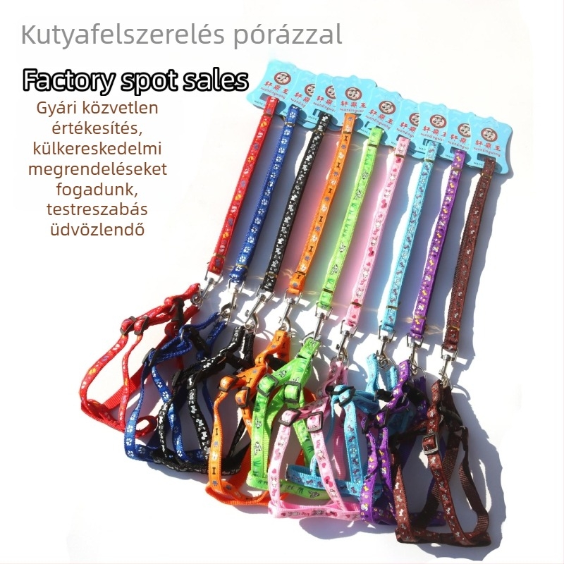 Kutyahám és póráz nyomtatott patch-szel, kis és közepes méretű kutyáknak
