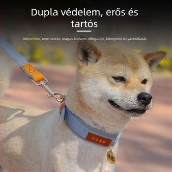 Közepes és nagy testű kutyák nyakörve azonosító címkével és pórázzal, corgi-stílusban