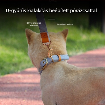 Közepes és nagy testű kutyák nyakörve azonosító címkével és pórázzal, corgi-stílusban