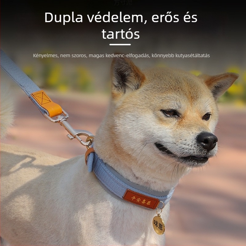 Közepes és nagy testű kutyák nyakörve azonosító címkével és pórázzal, corgi-stílusban
