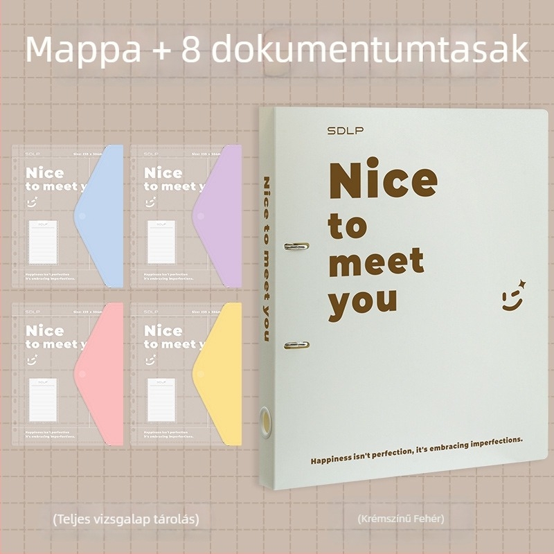 A4 dokumentum mappa kétlyukas D-típusú klippel, átlátszó fájlzseb és írólap