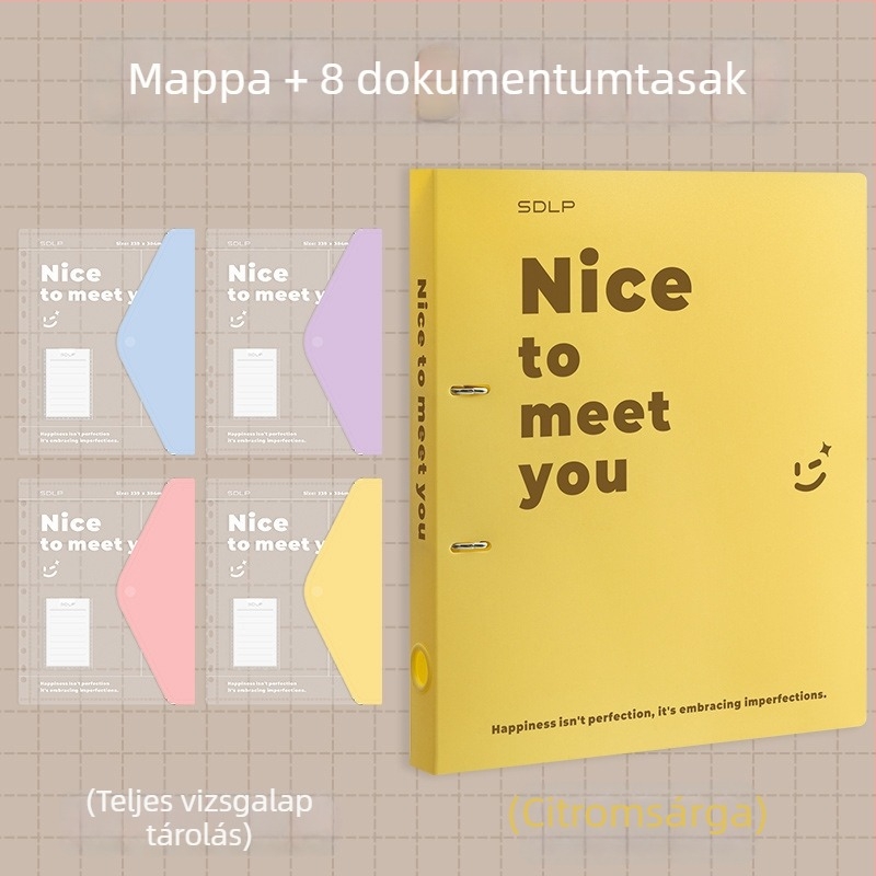 A4 dokumentum mappa kétlyukas D-típusú klippel, átlátszó fájlzseb és írólap