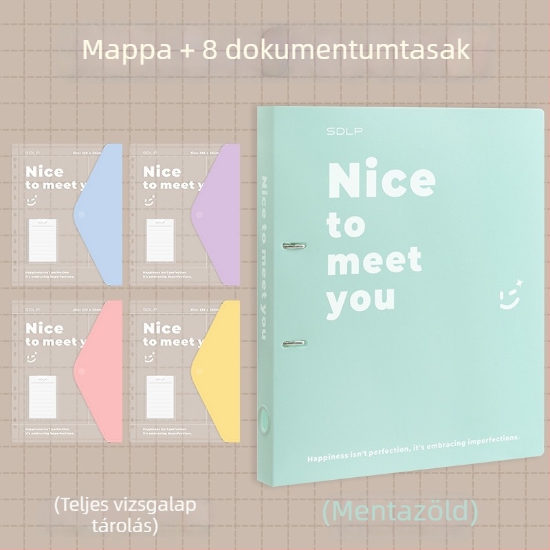 A4 dokumentum mappa kétlyukas D-típusú klippel, átlátszó fájlzseb és írólap