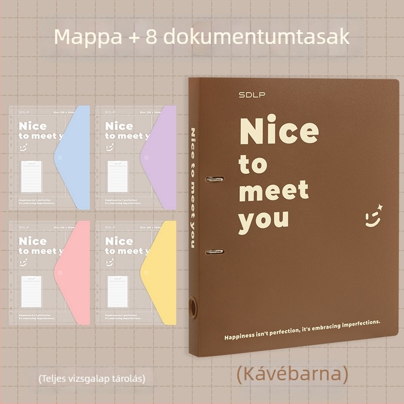 A4 dokumentum mappa kétlyukas D-típusú klippel, átlátszó fájlzseb és írólap
