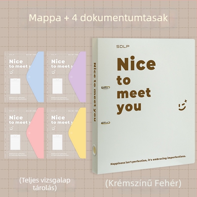 A4 dokumentum mappa kétlyukas D-típusú klippel, átlátszó fájlzseb és írólap