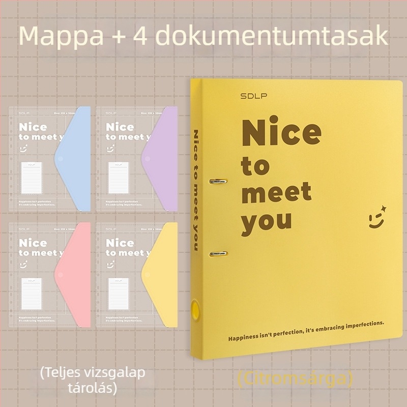 A4 dokumentum mappa kétlyukas D-típusú klippel, átlátszó fájlzseb és írólap