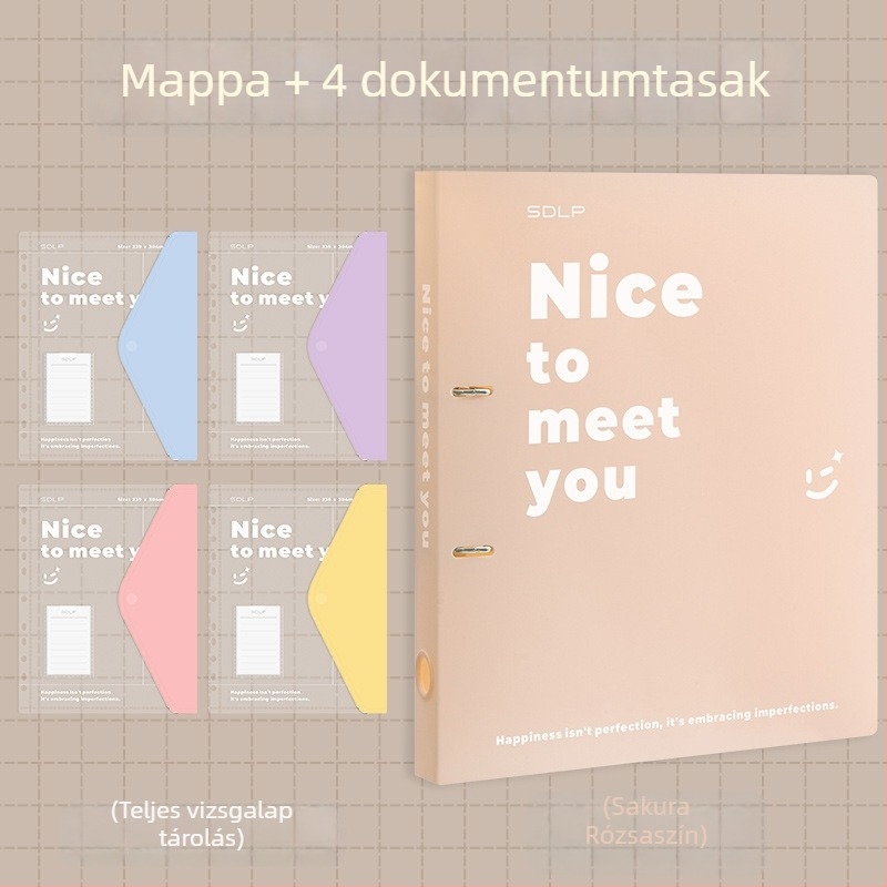 A4 dokumentum mappa kétlyukas D-típusú klippel, átlátszó fájlzseb és írólap