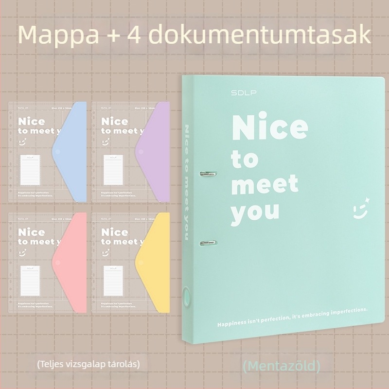 A4 dokumentum mappa kétlyukas D-típusú klippel, átlátszó fájlzseb és írólap