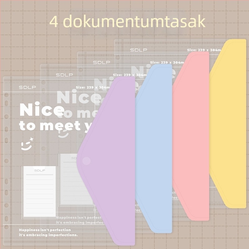 A4 dokumentum mappa kétlyukas D-típusú klippel, átlátszó fájlzseb és írólap