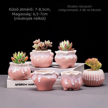 Szukkulenseknek készült kerámia tartó, glazúrral, minimalistikus vidéki stílus, kis asztali növénytartó