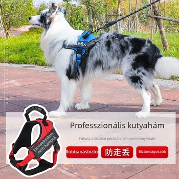 K9 mellkasos hám és póráz – fejlett Modell kényelmes sétákhoz